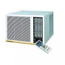 WINDOW AC SERVICE